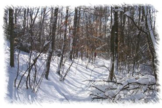 snowhike-082