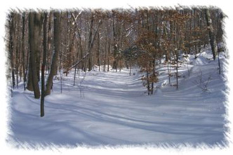 snowhike-094