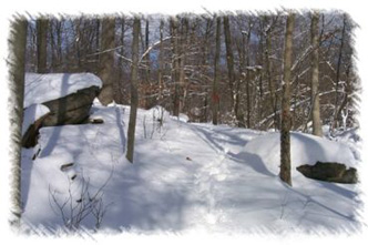 snowhike-105
