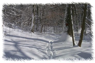 snowhike-109