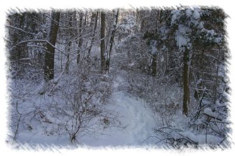 snowhike-111