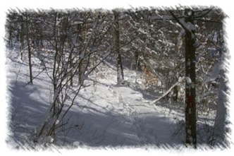 snowhike-113