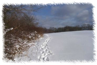 snowhike-117