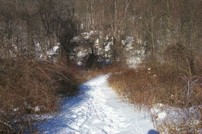 Redtrail-04