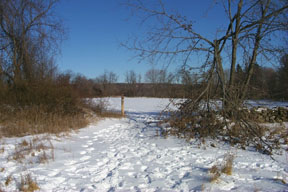 Redtrail-22
