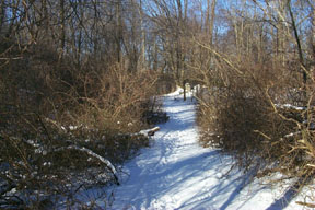 Redtrail-30