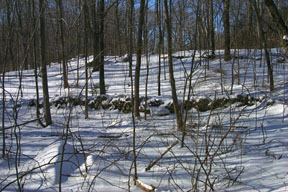 Redtrail-39