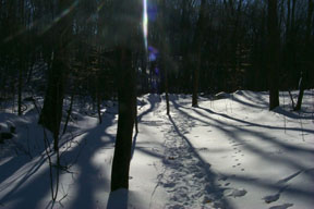 Redtrail-41