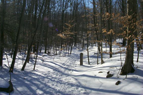 Redtrail-43
