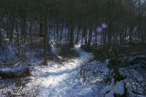 Redtrail-60