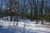Redtrail-33
