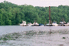 Housatonic River