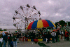 Shelton Day Rides